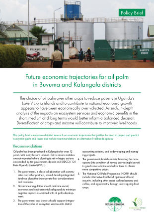 Future economic trajectories for oil palm in Buvuma and Kalangala districts