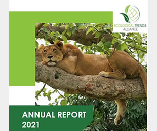 2021 Annual Report 