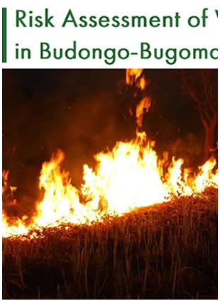 Fire Risk Assessment of Wildfires in Budongo-Bugoma Landscape