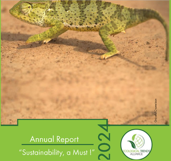 2024 Annual Report 