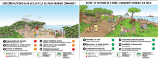 Community Level Oil Palm development Story
