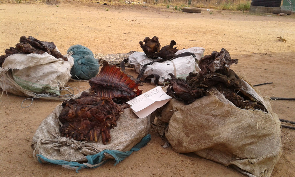 Confiscated bushmeat