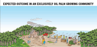 Expected outcome in an exclusively oil palm growing community