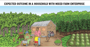 Expected outcomes in a household with mixed farm enterprise