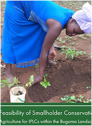 Feasibility of Smallholders conservation
