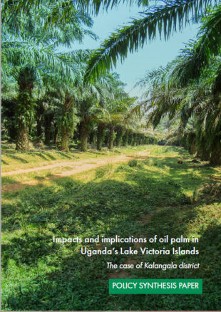 Impacts and Implications of Oil Palm growing in Uganda's Lake Victoria Islands - A Case study of Kalangala District 