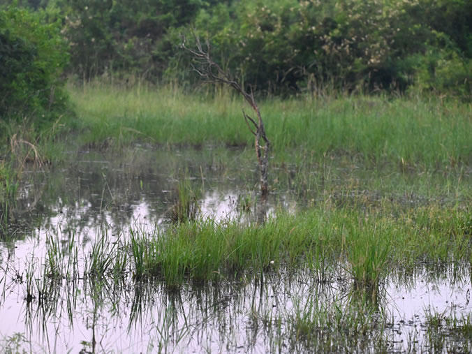 Conservation of Sensitive Landscapes