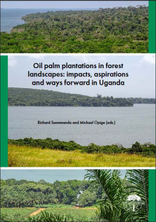 Oil palm plantations in forest landscapes: impacts, aspirations and ways forward in Uganda (PDF)