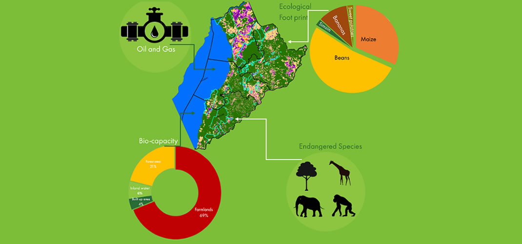 Ecological Trends