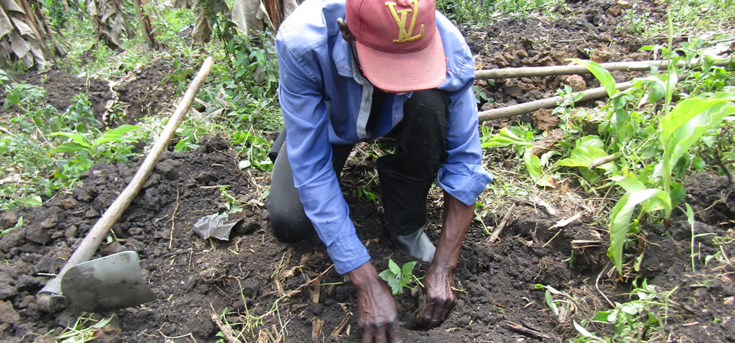 Ecological Trends