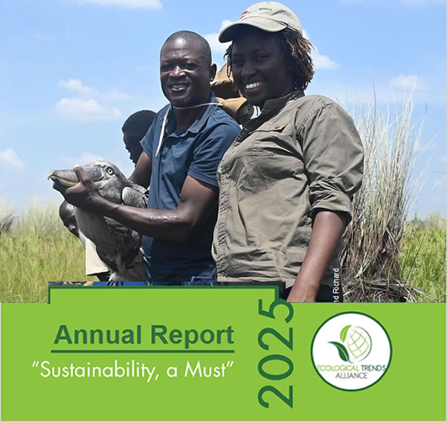 2025 Annual Report 